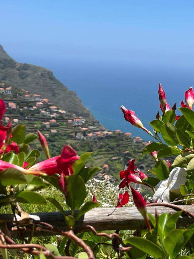 Tropical House Villa Ribeira Brava Eksteriør bilde