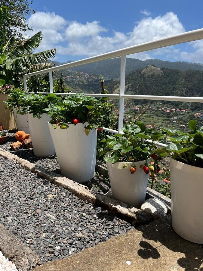 Tropical House Villa Ribeira Brava Eksteriør bilde