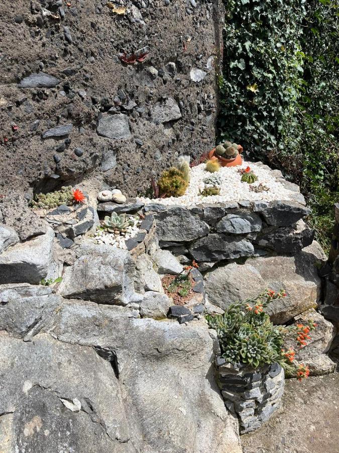 Tropical House Villa Ribeira Brava Eksteriør bilde
