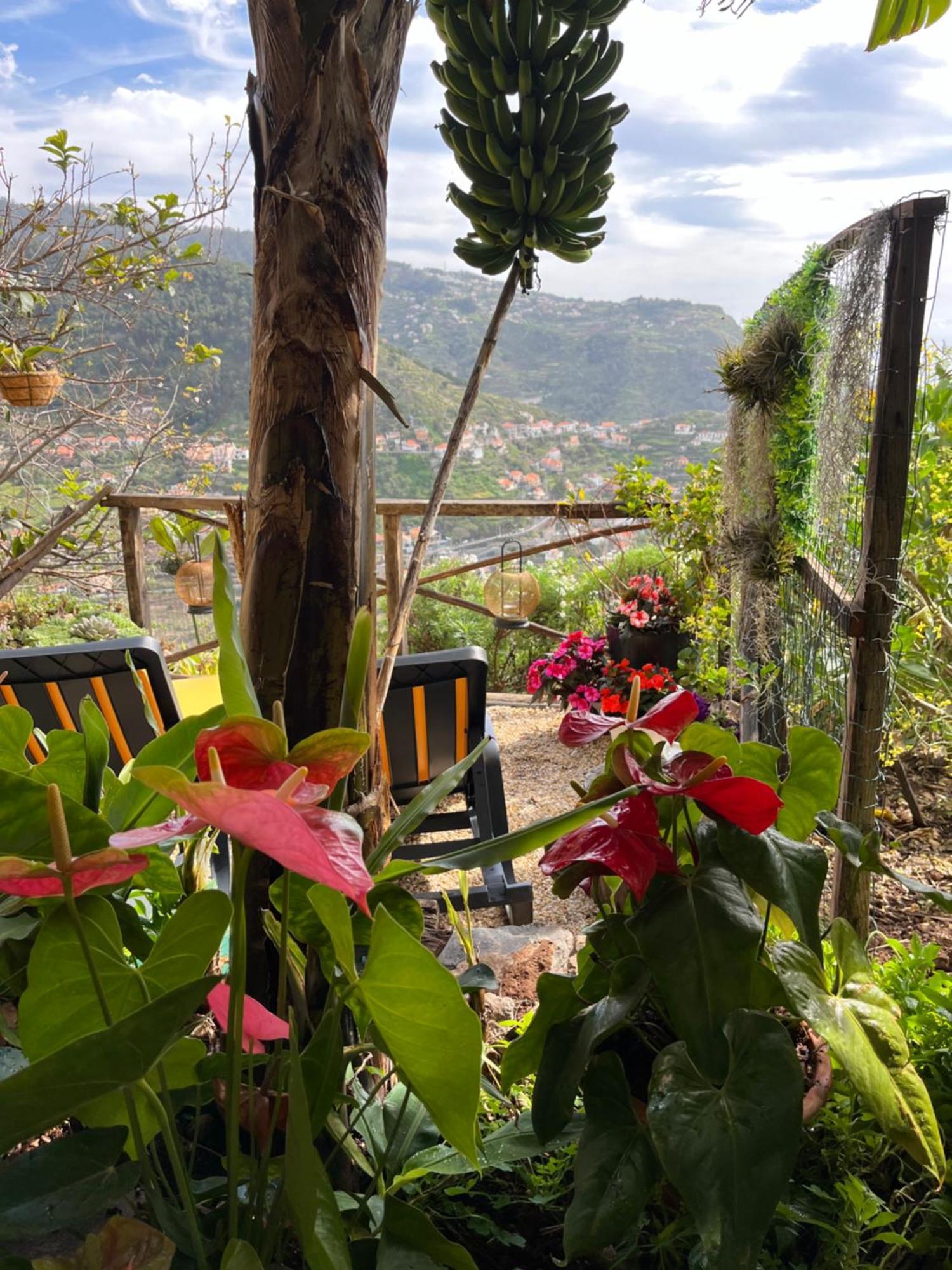 Tropical House Villa Ribeira Brava Eksteriør bilde