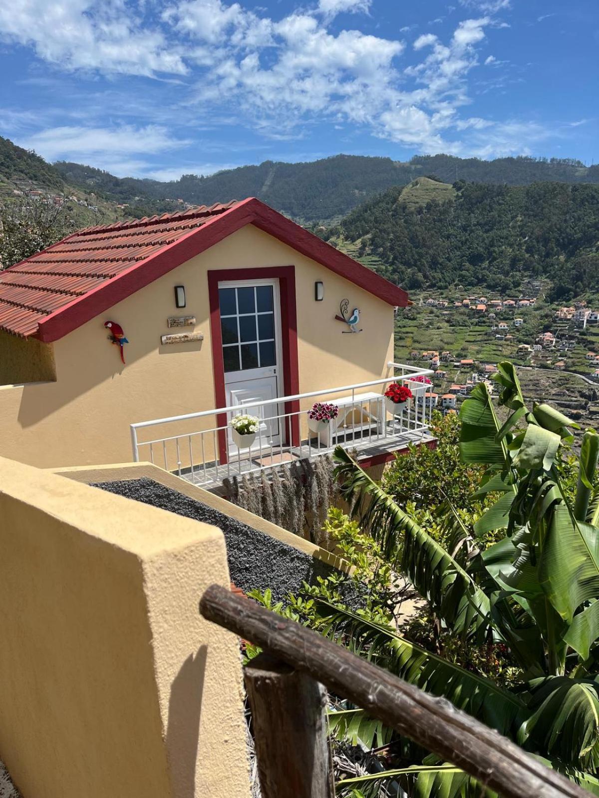 Tropical House Villa Ribeira Brava Eksteriør bilde